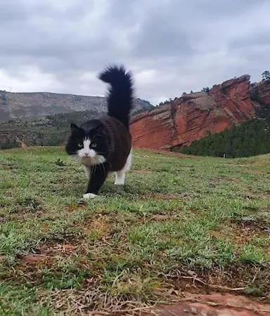 Casa Roya * Montalbán